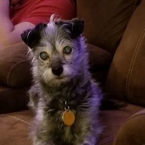 Meet your Posher, Wendy